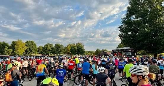 Bright Lights for Kids