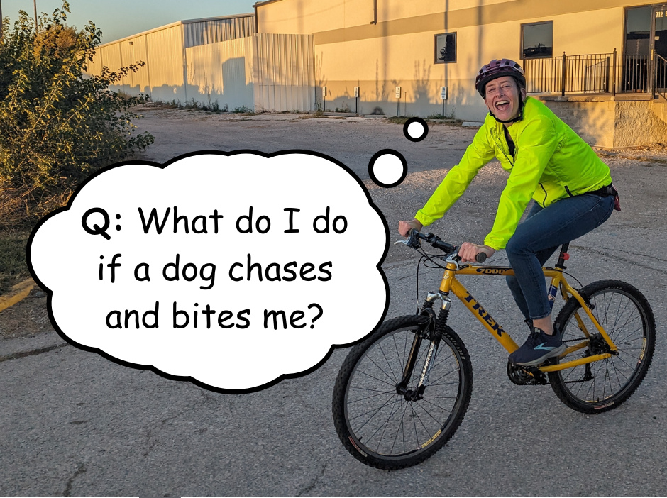 What do I do if a dog chases and bites me?